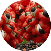guarana